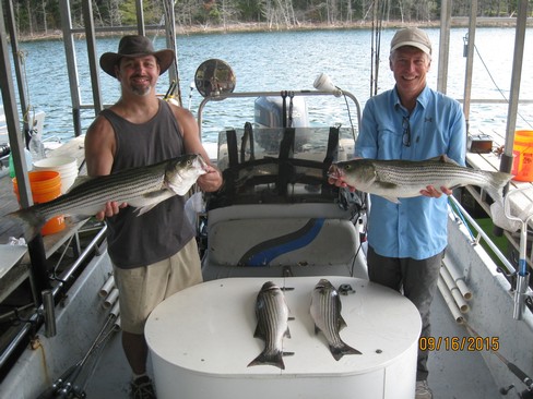 Nice Striped Bass